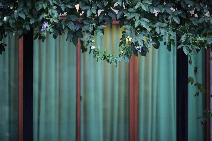 Maharani Guest House Yogyakarta Exterior photo